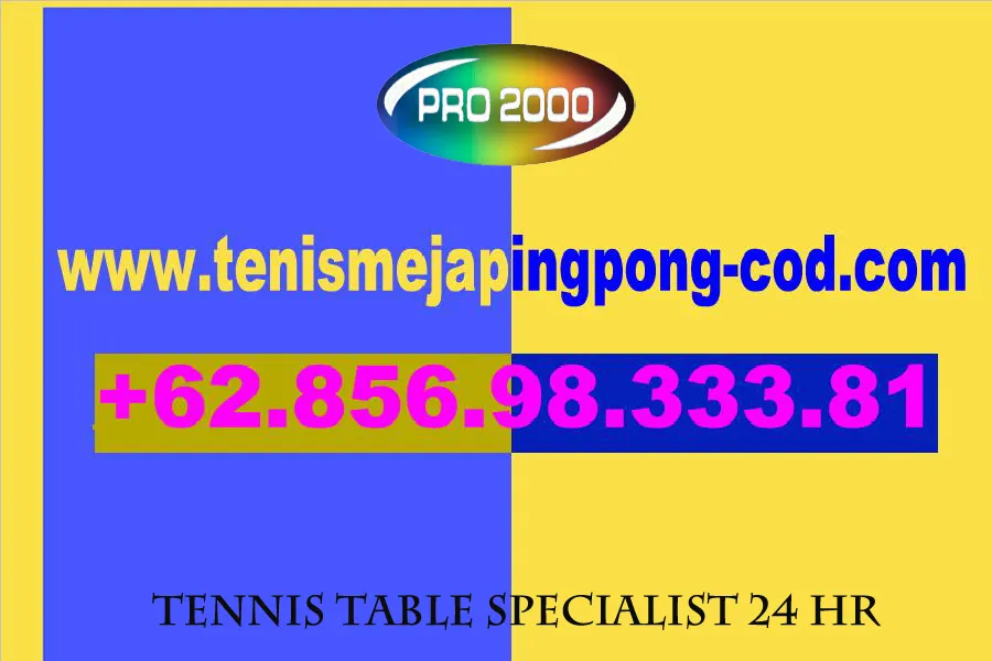 tenis meja pingpong merk DRAGON FLY