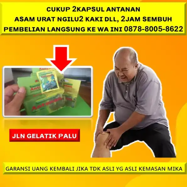 0878-8005-8622 Obat Alami Menghilangkan Kolesterol Di Kota Palu