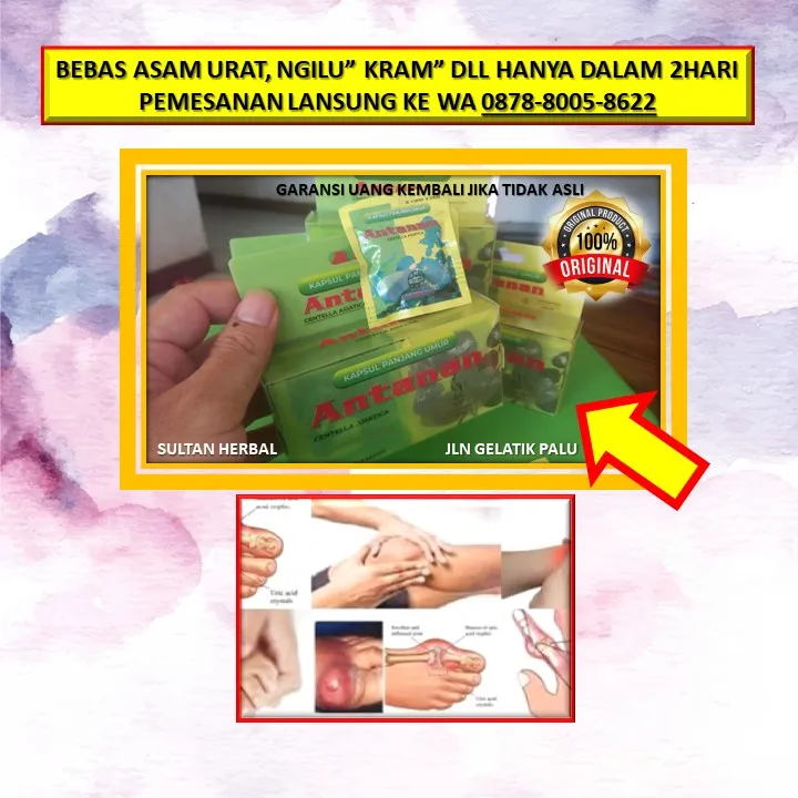 Obat Sakit Ngilu Badan Di Kota Palu