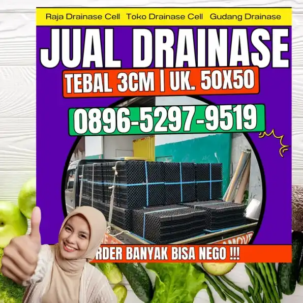 0896-5297-9519 (Bu Diana), Penjual Tatakan Rumput Sintetis Padang Pulau Punjung