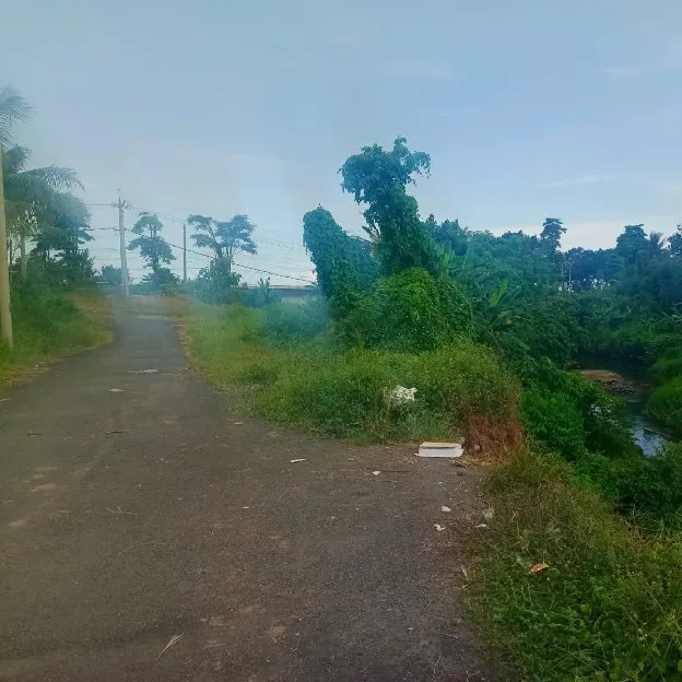 Dijual 53,42 are, Jl. Bypass Ngurah Rai Tulikup Pantai Lebih Gianyar