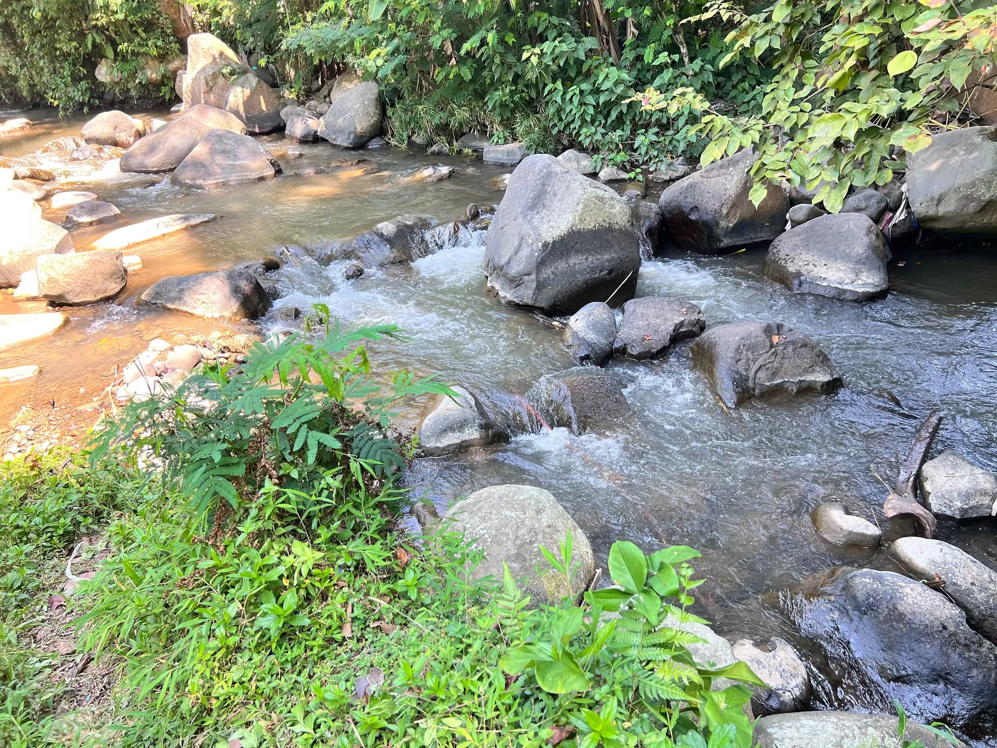 Tanah Cocok Buka Wisata Glamping Rafting Nagargoyoso Karanganyar