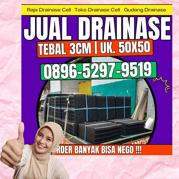 0896-5297-9519 (Bu Diana), Penjual Drainage Cell Medan Kabupaten Nias Barat