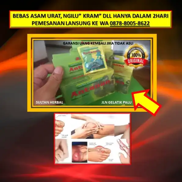 0878-8005-8622 Obat Alami Kolesterol Paling Ampuh Di Kota Palu