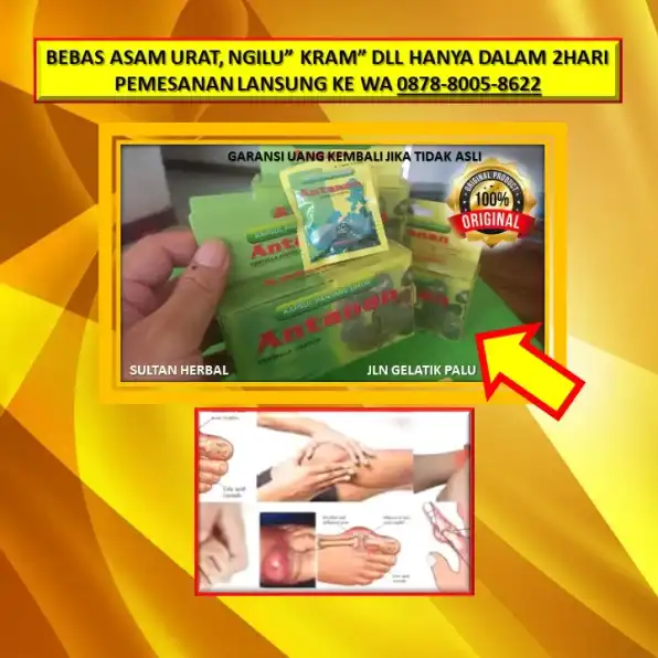 0878-8005-8622 Obat Asam Urat Yang Bagus Di Kota Palu