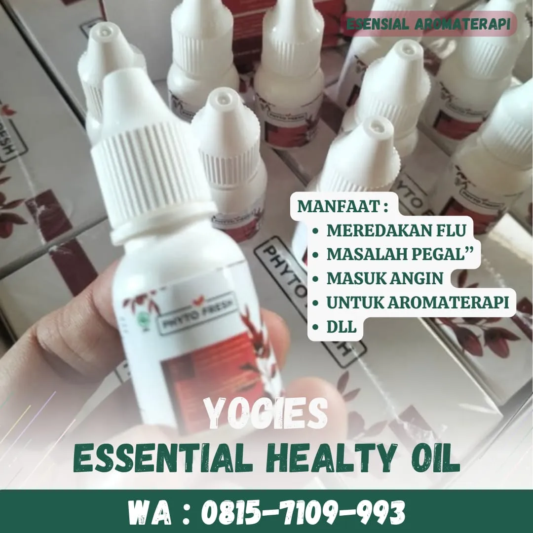 (YOGIES), Phyto Fresh Kab Lebong, Kandungan Minyak Esensial Lavender