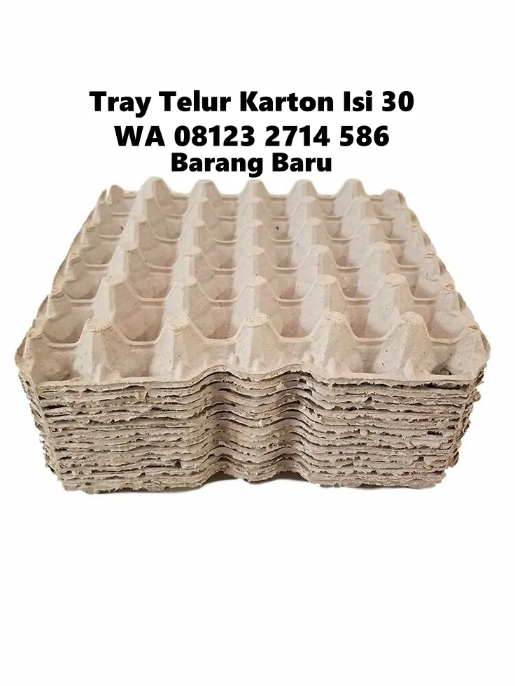 Tempat Telor Karton Isi 30 (Tray Telur) - Cepat dan Aman Kirim ke Kediri Lombok Barat (42)