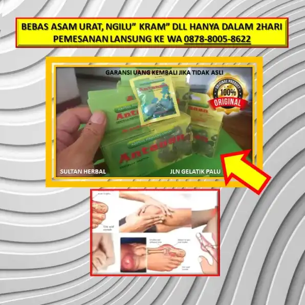 0878-8005-8622 Obat Kolesterol Ibu Menyusui Di Kota Palu