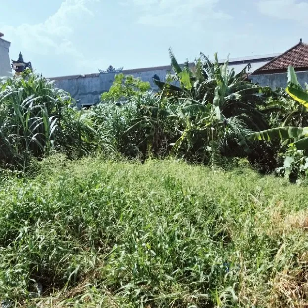 Dikontrakan 6 are, Jl. Raya Pondok Indah Buluh Indah Pemecutan Kaja Denpasar