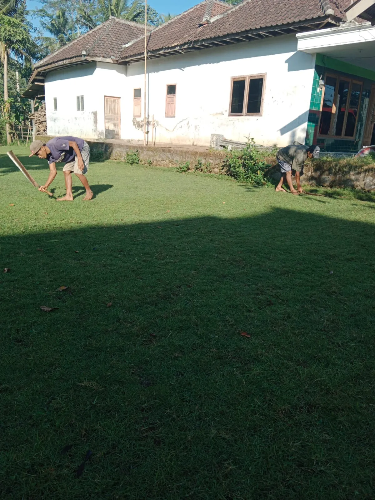 Jual Rumput Golf Trenggalek Termurah