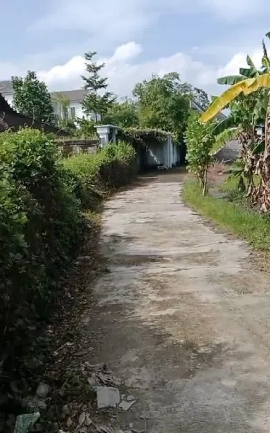 ❗❗Dikontrakkan tanah Luas 2 areLingkungan villa Akses jalan 3,5 meter Lokasi dalungLingkungan tenang