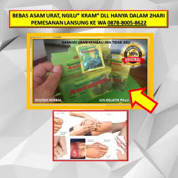 0878-8005-8622 Obat Alami Kolesterol Naik Di Kota Palu