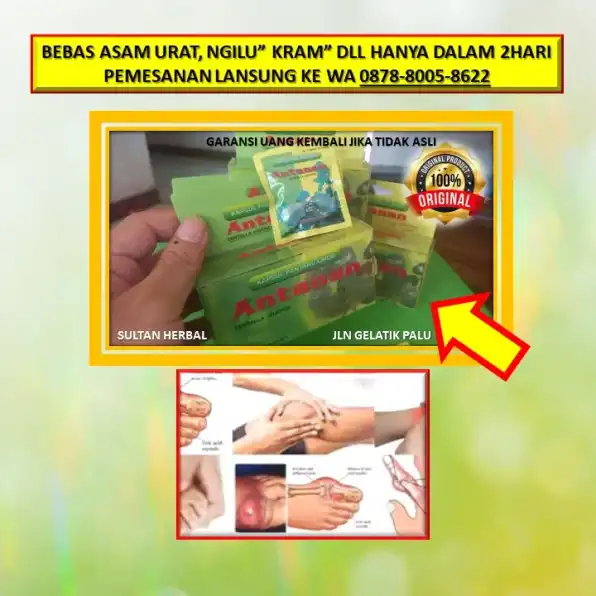 0878-8005-8622 Obat Asam Urat Untuk Umur 50 Tahun Di Kota Palu