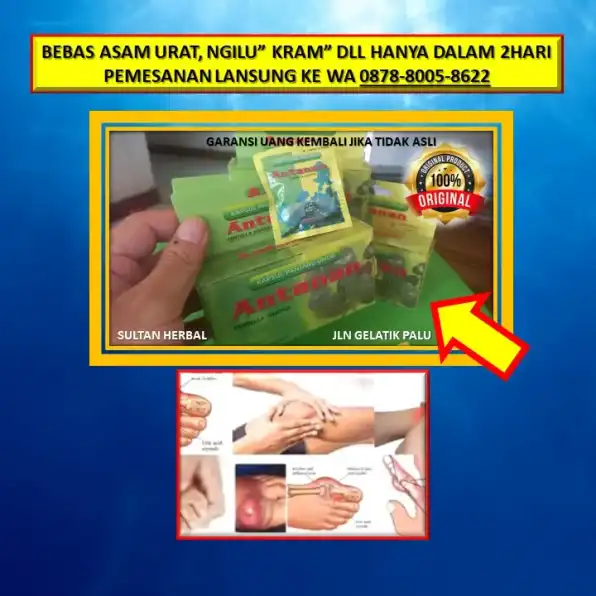 0878-8005-8622 Obat Asam Urat Untuk Penderita Stroke Di Kota Palu