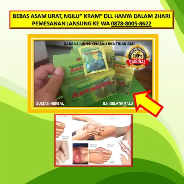 WA: 0878-8005-8622 Obat Alami Kolesterol Untuk Orang Hamil Di Kota Palu