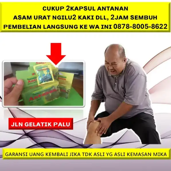 0878-8005-8622 Obat Alami Menurunkan Kolesterol Saat Hamil Di Kota Palu