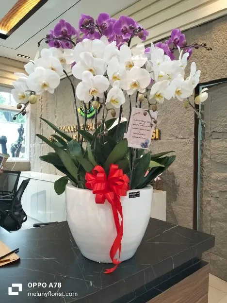 Toko Bunga di Jababeka Cikarang Aditya Florist