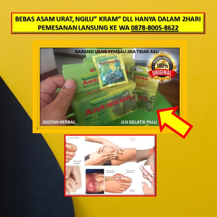 Obat Sakit Ngilu Di Kota Palu