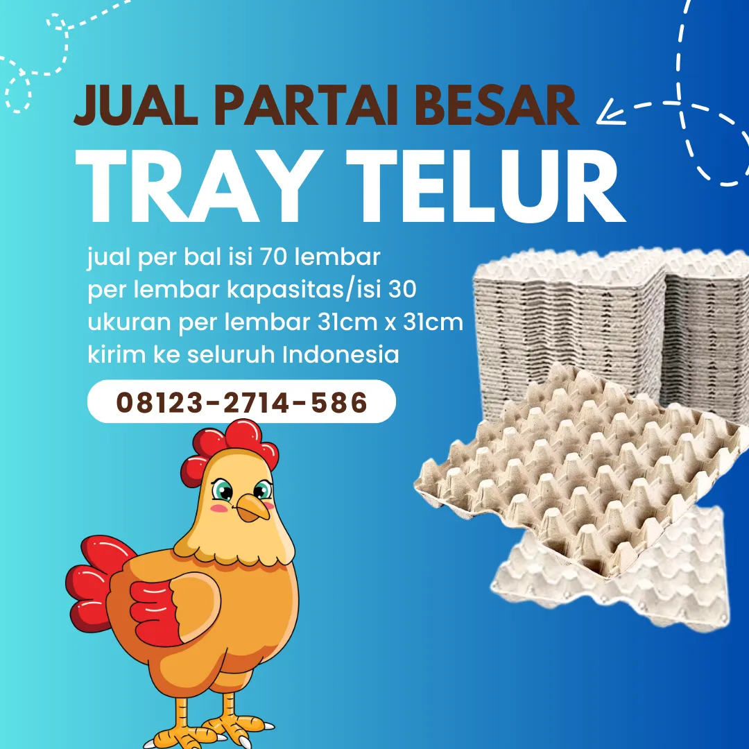 Perlindungan Ekstra - Nampan Telur (Trey Telur) kirim ke Ropang Sumbawa (8)