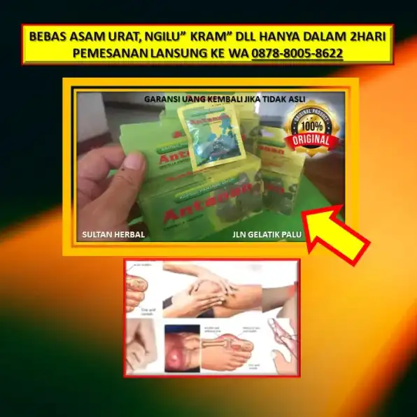 0878-8005-8622 Obat Asam Urat Kapsul China Di Kota Palu