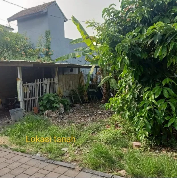 Dijual 2 are, Jl. Bukit Sari Beringin Padonan Tibubeneng Kuta Utara