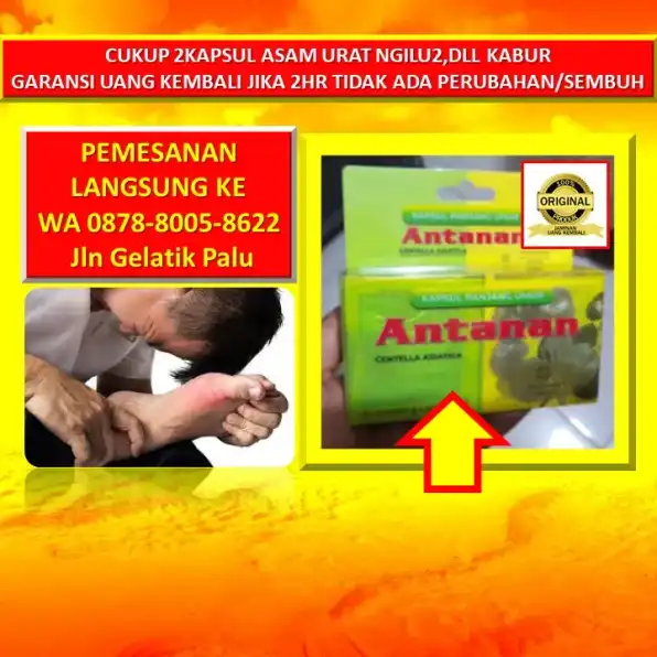 0878-8005-8622 Obat Sakit Ngilu Seluruh Badan Di Kota Palu