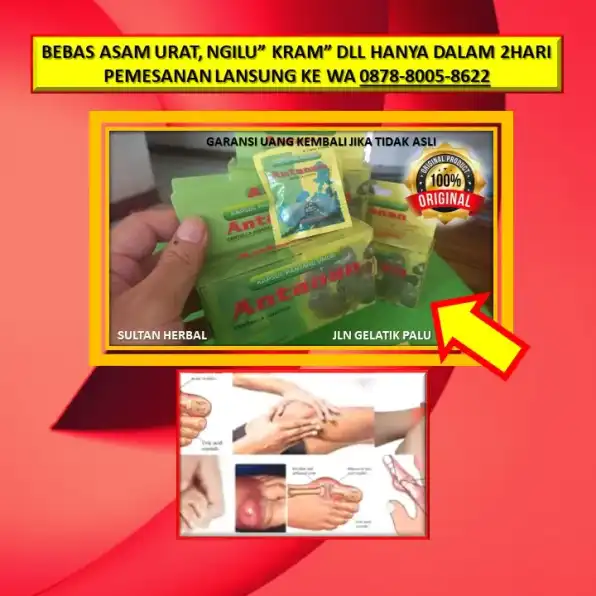 0878-8005-8622 Obat Asam Urat Kapsul Di Kota Palu