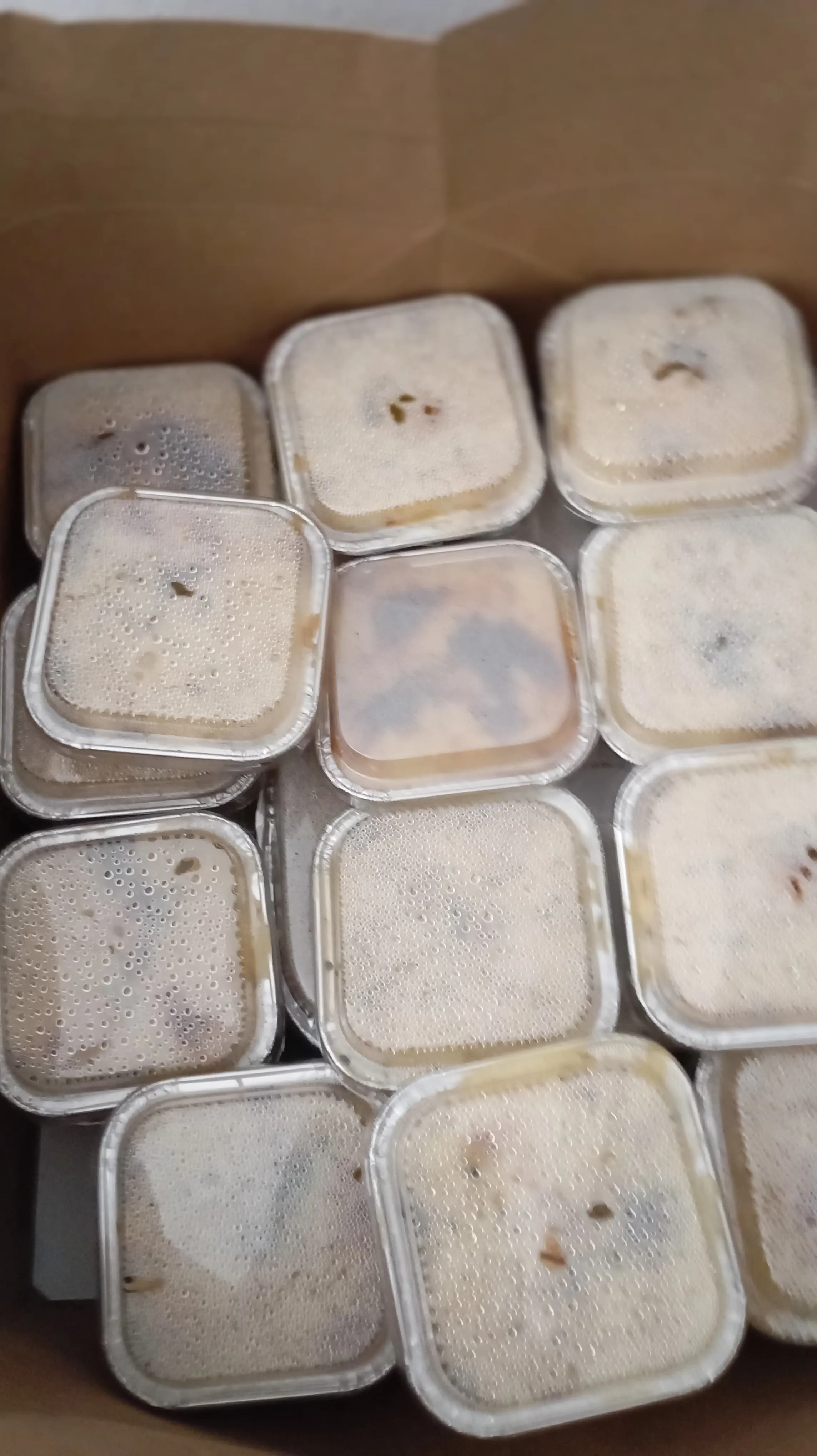 wa 0898 368 9500 Macaroni Schotel Lezat Di Pasar Minggu Jakarta