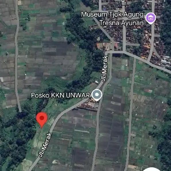 Dijual 31,5 are, Jl. Merak Dsn. Ambengan Ayunan Abiansemal Badung