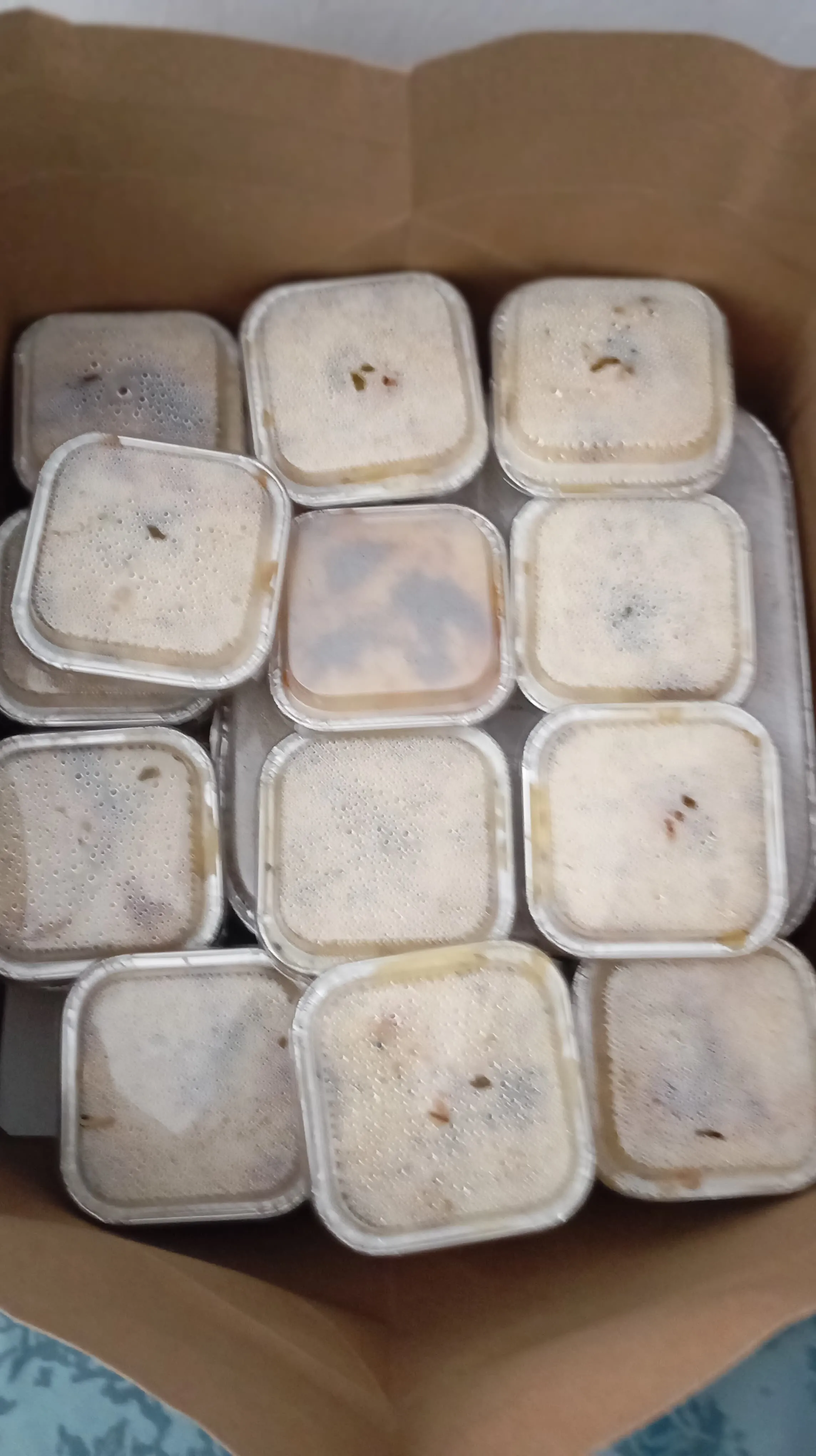 wa 0898 368 9500 Macaroni Schotel Lezat Di Pasar Minggu Jakarta