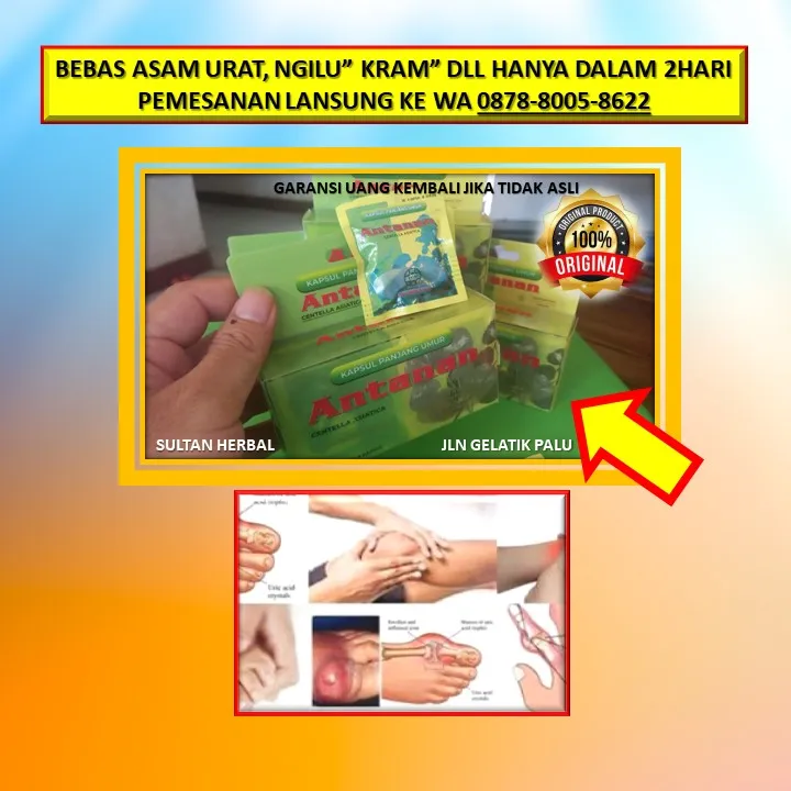 0878-8005-8622 Obat Asam Urat Kaki Di Kota Palu