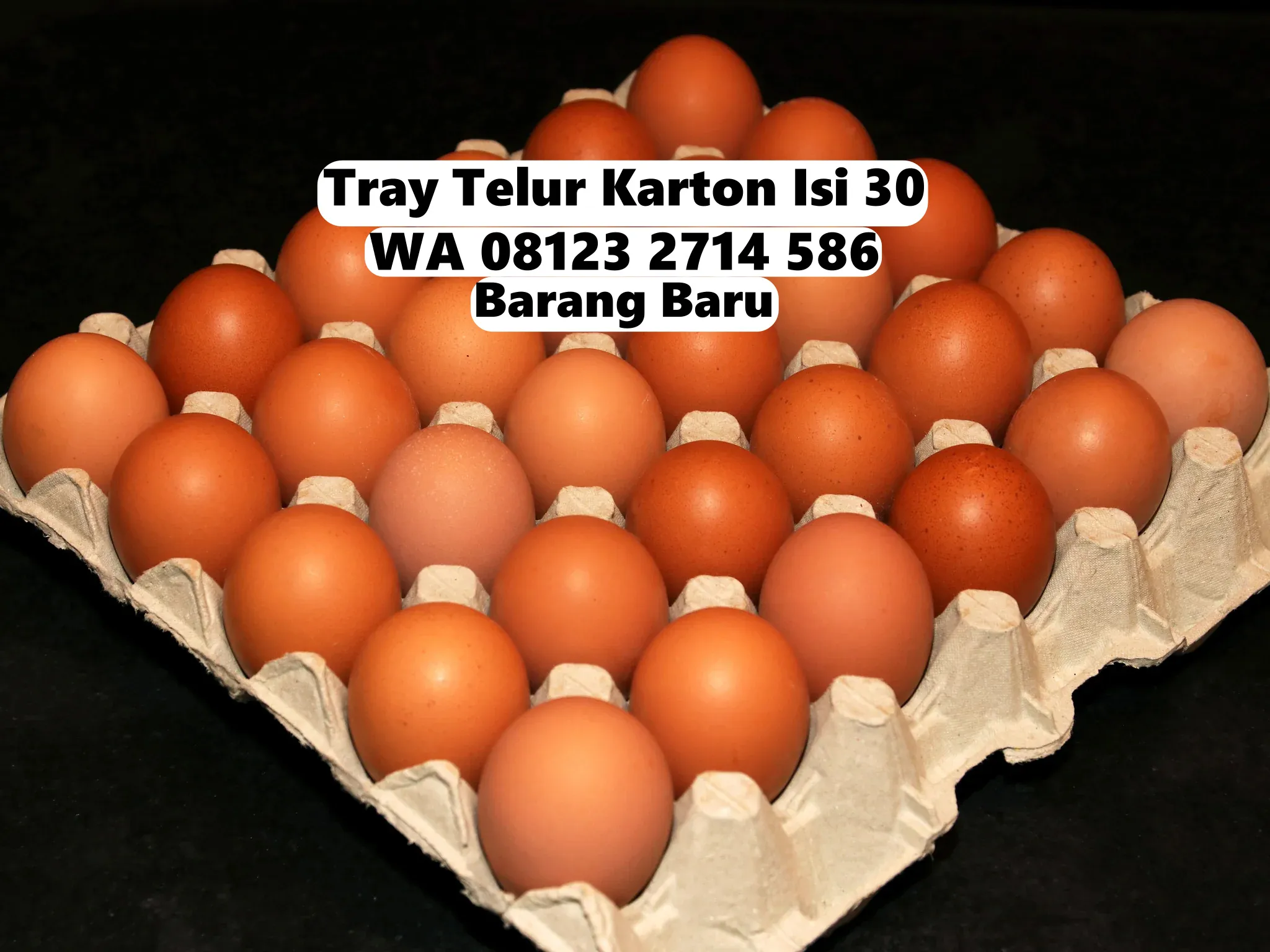 Tempat Telor (Tray Telur) - Telur Selamat Kirim ke Sekotong Lombok Barat (24)