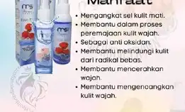 Face Mist Msi