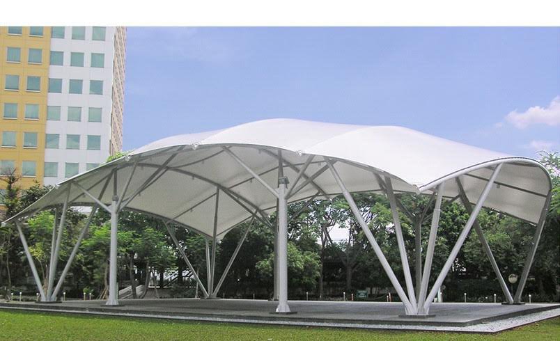 Canopy Membrane 