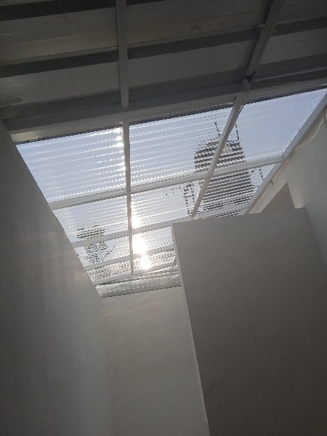 Canopy Sepandx Benge 