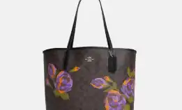 Tas Coach City Tote In Signature Canvas With Rose Print (Cl 420)