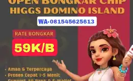 Terima Bongkar Chip Higgs Domino Island Open 24 Jam 