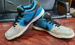 Nike Sb Dunk Low Pro Instant Skateboard Blue Herosize 43