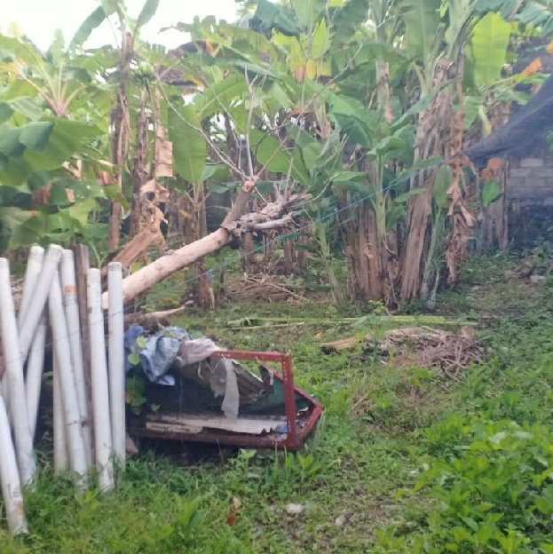 Dijual 2 Are, Jl. Raya Sesetan Gg. Pakuk Sari Denpasar Selatan