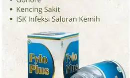 Fylo Plus