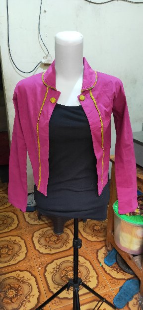 Blazer Pink 