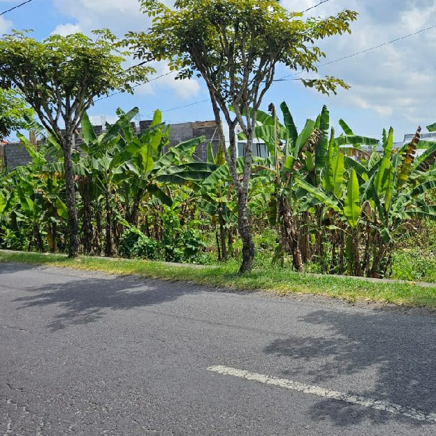 Dijual 14,5 Are, Jl. Tumbak Bayuh Pererenan Tiying Tutul Mengwi