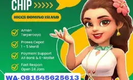 Terima Bongkar Chip Higgs Domino Island Terima Open 24 