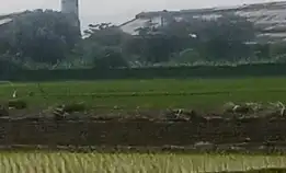 Tanah Sawah Murah Lokasi Strategis