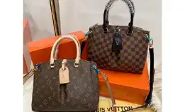 Tas Louis Vuitton Lv Odeon Kulit Matang (Serap Air)