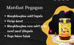 Madu Jannah Pegagan