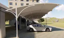 Canopy Membrane 