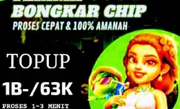 Terima Bongkar Chip