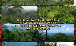 Dijual Murah Tanah Shm 1.2ha Di Samigaluh Kulonprogo Yogyakarta. Strategis Dekat Kawasan Wisata.