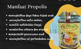 Madu Jannah Propolis 